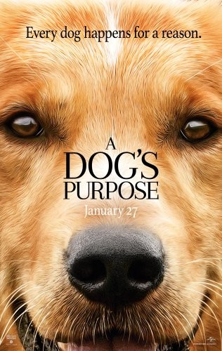 A.Dogs.Purpose.2017.1080p.BluRay.REMUX.AVC.DTS-HD.MA.5.1-FGT