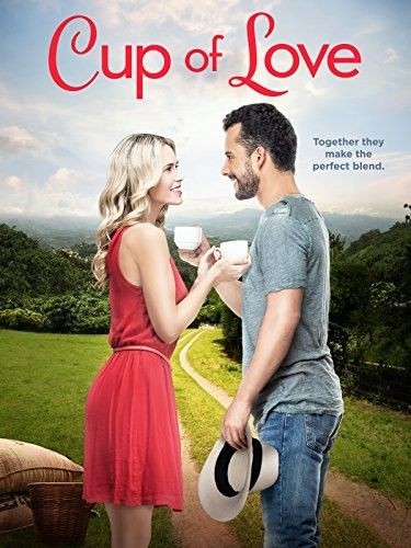 Cup.of.Love.2016.1080p.WEB-DL.DD5.1.H264-FGT