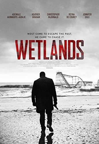 Wetlands.2017.1080p.WEB-DL.DD5.1.H264-FGT