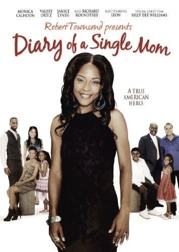 Diary.of.a.Single.Mom.2009.1080p.AMZN.WEBRip.DDP2.0.x264-monkee
