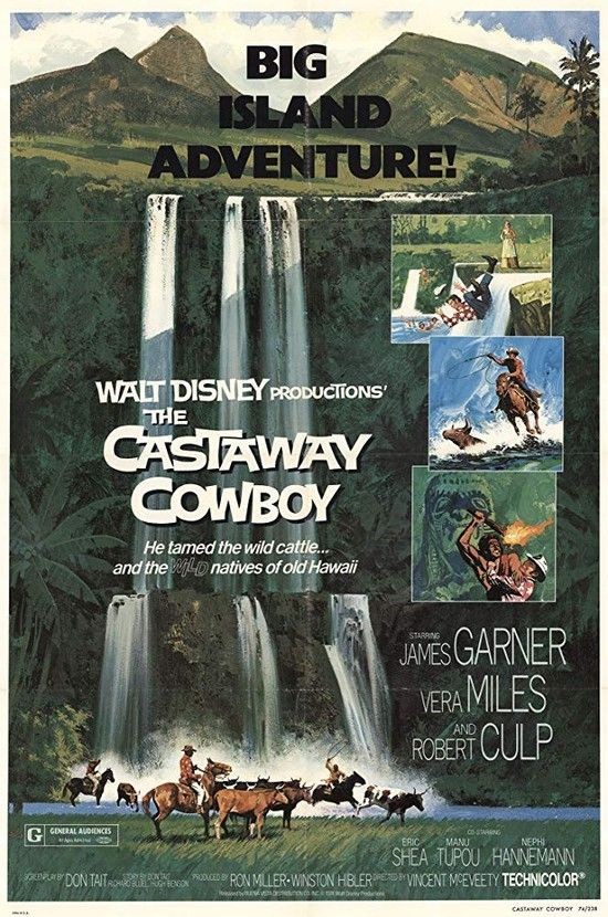 The.Castaway.Cowboy.1974.720p.AMZN.WEBRip.DDP2.0.x264-ABM