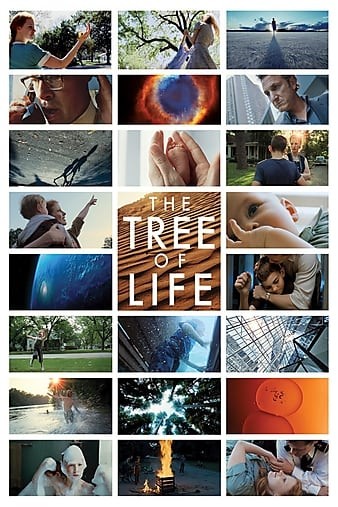 The.Tree.of.Life.2011.EXTENDED.1080p.BluRay.REMUX.AVC.DTS-HD.MA.5.1-FGT